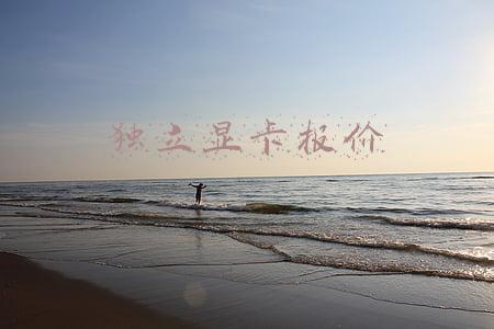 独立显卡报价