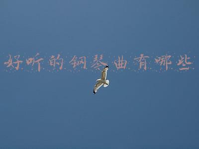 好听的钢琴曲有哪些简单(来弹这7首圣诞节钢琴曲，内含琴谱！简单上手！)