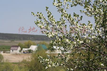 绝地求生进不去游戏 一直卡在加载画面(《绝地求生：大逃杀》卡在Loading无限读取界面怎么办解决方法分享)