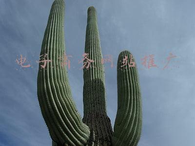 电子商务网站推广