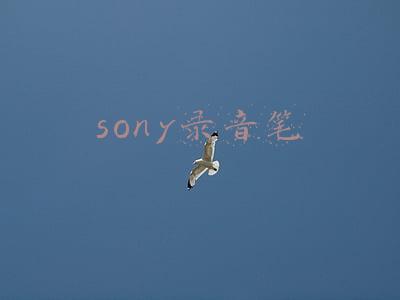 sony录音笔使用说明(如果不是在家闲得慌，你都不知道索尼录音笔竟然有这么多种玩法？)