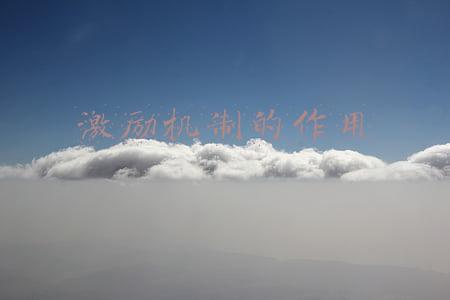 激励机制的作用
