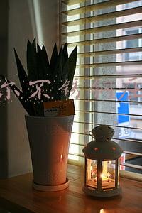 苏泊尔不锈钢压力锅密封圈(多段可视调压 苏泊尔电压力锅热卖)