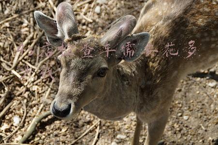 4s店保养一次车多少钱-奥迪4s店保养一次车多少钱