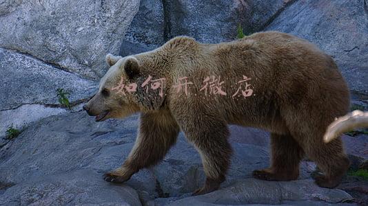如何开微店