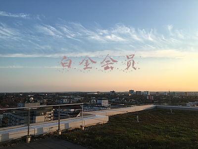 白金会员是什么等级(在银行存多少钱能成“VIP”？满足存款条件，待遇和普通储户不同)