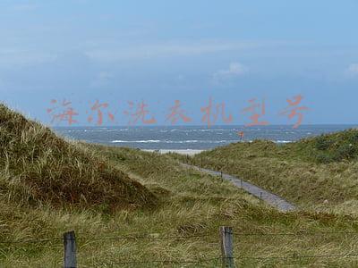 海尔洗衣机型号
