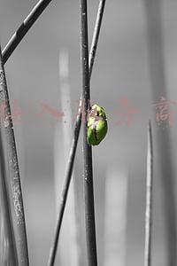 接入服务商怎么查(婚介机构实名认证系统接口介绍)