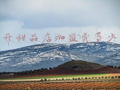 杨小贤甜品店加盟费-杨小贤甜品店加盟费多少