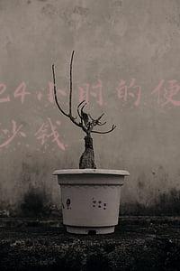 投资24小时便利店需要多少钱（24小时便利店投资多少钱）