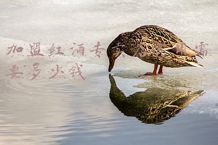 红酒专卖店装修;红酒专卖店装修效果图