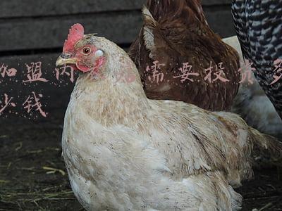 内衣加盟店利润如何-内衣加盟店需要投资多少钱