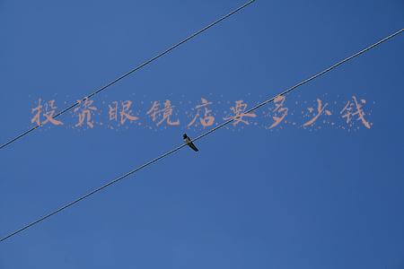 开眼镜店需要多少钱;开眼镜店需要投资多少钱