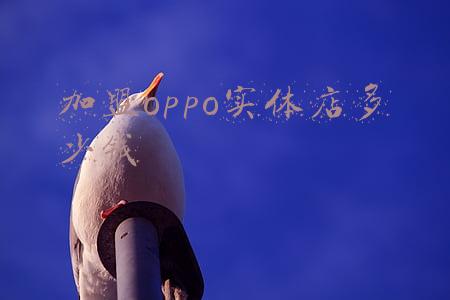 开个oppo授权店多少钱 代理oppo手机授权店需要多少钱