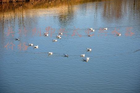 奥特朗即热式电热水器价格 奥特朗即热式电热水器价格