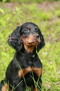 男士皮衣品牌专卖店(「麂皮」单品保养穿着最全攻略，看完后你得知道这个字怎么读)