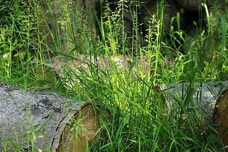 圣大保罗官网旗舰店(*ST舜喆B退市，曾拥有“圣大保罗”品牌)