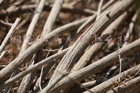 相宜本草美白祛斑洁面膏(性价比超高的洗面奶推荐：这些洗面奶有效清洁肌肤，减少青春痘)