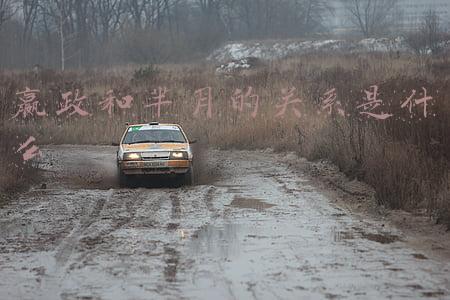 芈月是嬴政的什么关系和嬴政是什么关系(芈月是秦始皇什么人？芈八子是历史中的宣太后)