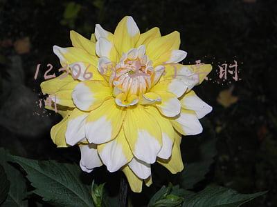 12306网上订票时间是几点到几点(你还记得第一次用12306买火车票是什么时候吗？)