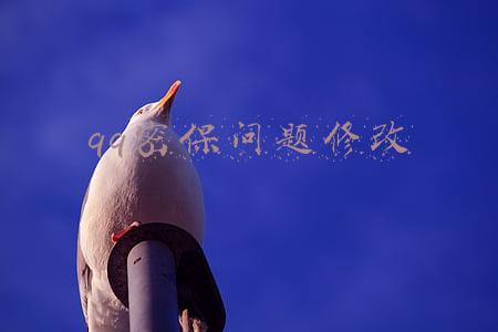 qq密保问题修改