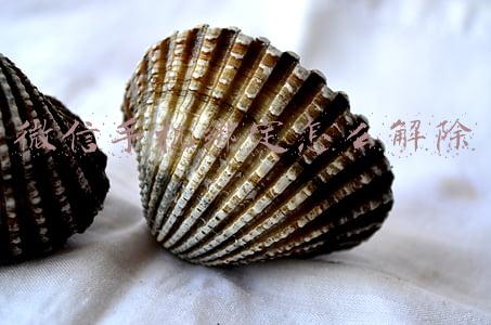 怎样解除微信的绑定手机(如何强行解开微信手机绑定？微信解除手机绑定的方法)