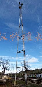 郑板桥擅长画竹其体裁与下列哪件作品属同一画科(1992年普通高等学校招生全国统一考试(高考)语文试卷)