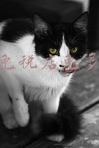 三亚免税店优惠多少钱啊（三亚免税店优惠多少）