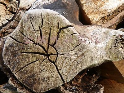 企业邮箱配置(企业公司邮箱怎么开通？教你一秒注册公司企业邮箱)