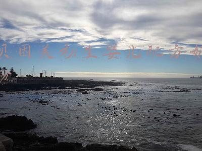 贝因美孕妇配方奶粉怎么样(CBME实力圈粉渠道，贝因美亮出国潮大牌新范式)