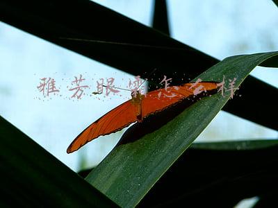 雅芳眼霜好用吗(美妆神炖局丨虽没有见到四字弟弟 但却被赫本私香强势种草了)