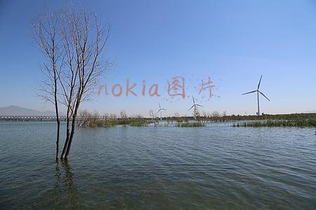 nokia官网(1299元！诺基亚X6正式发布：骁龙636+刘海屏+3060mAh，价格太良心)