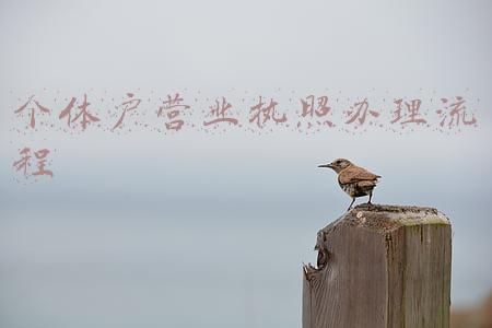 如何办理个人营业执照流程(「问答」个体工商户办理营业执照、卫生许可证的流程是怎样的？)