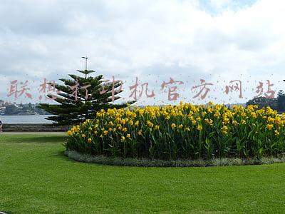 联想打印机官网下载(一次联想打印机驱动的下载经历)