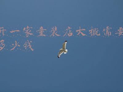 加盟童装店需要多少钱，加盟童装店需要多少钱怎么进货