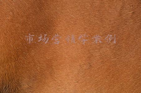 市场营销学案例