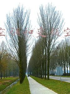 定频空调和变频空调的区别1.5P的(3分钟教你正确选择空调P匹数，搞清定频空调与变频空调的区别)