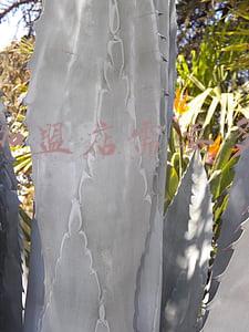焖锅加盟费多少钱《抖小二三汁焖锅加盟费多少钱》