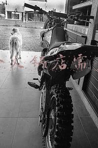 火锅店加盟大概需要多少钱_火锅加盟费大概多少