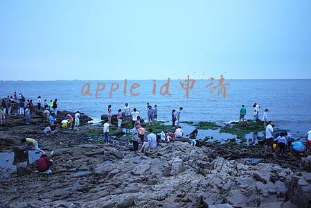 apple id申请