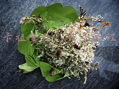 卡拉赞开门任务流程打普通(魔兽世界：TBC副本升级流程，经验声望两不误，兼顾卡拉赞开门)