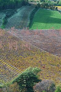 王者红蓝buff的持续时间是多久(30条容易被忽略的冷知识！看看你离王者有多远)