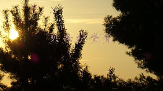 贝亲护臀膏变透明色了(岚小米-苗妈测评-16款宝宝护臀膏大测评｜买对不买贵)