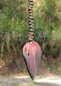 什么电源品牌好(天能、超威、旭派哪个好？有答案，电动车电池“质量排行榜”出炉)