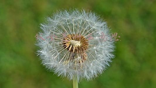 汽车维修钣金是什么意思(「钣金」弄懂钣金这点事，维修以后不求人)