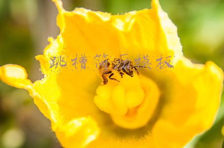 跳槽简历模板下载(想跳槽？简历太low怎么办？五千份全行业精美简历模板拿走不谢)