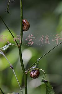互联网营销平台有哪些公司(数字营销上市公司汇总)