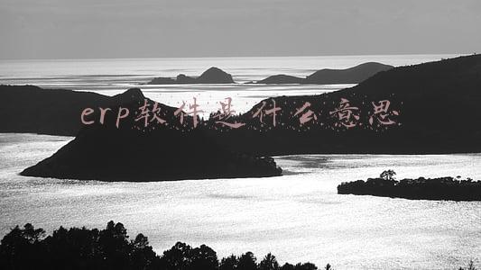 erp软件是什么意思