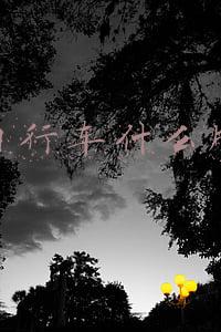 山地自行车什么牌子好