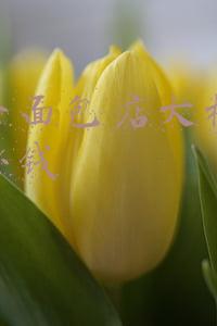 现在开面包店赚钱吗(开面包店挣钱吗)